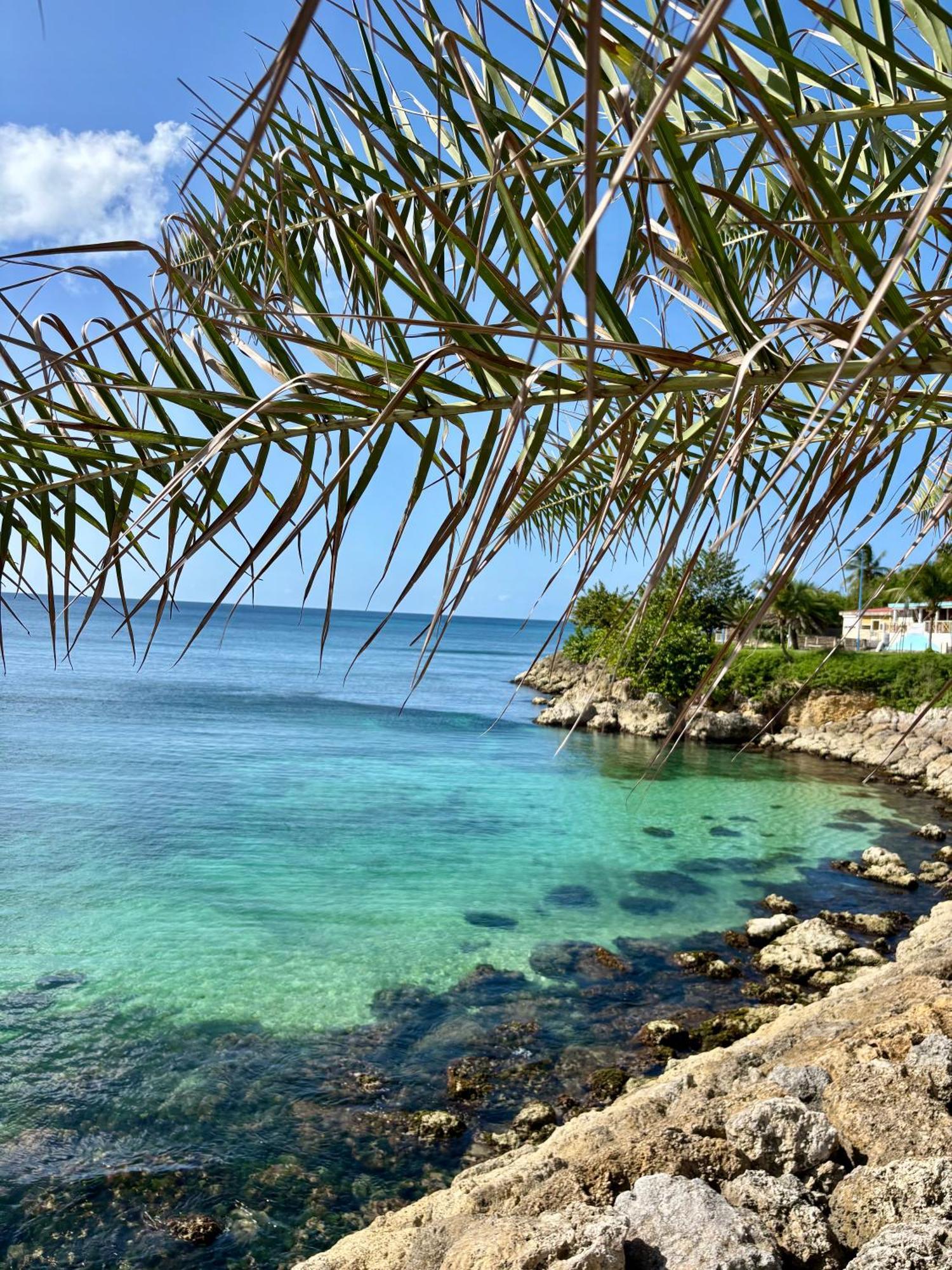 Gite Tournesol - A 2 Min De La Plage Et Du Bourg Anse-Bertrand 外观 照片